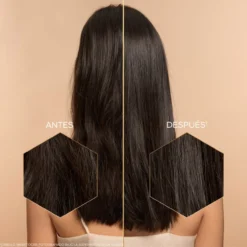 Abeille Royale Coffret Ritual de Juventude do Couro Cabeludo e Cabelo