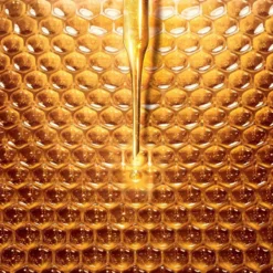 Abeille Royale Programa Antienvelhecimento Creme de Dia