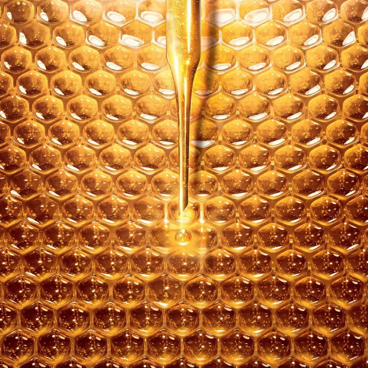 Abeille Royale Programa Antienvelhecimento Creme de Dia
