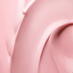 Absolue Creme Riche Recarga