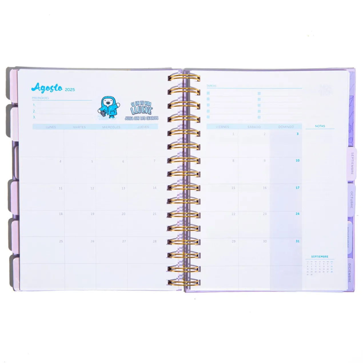 Agenda Amate 2025