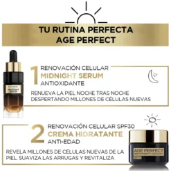 Age Perfect Renascimento Celular Creme Regenerador SPF30 com Complexo Antioxidante