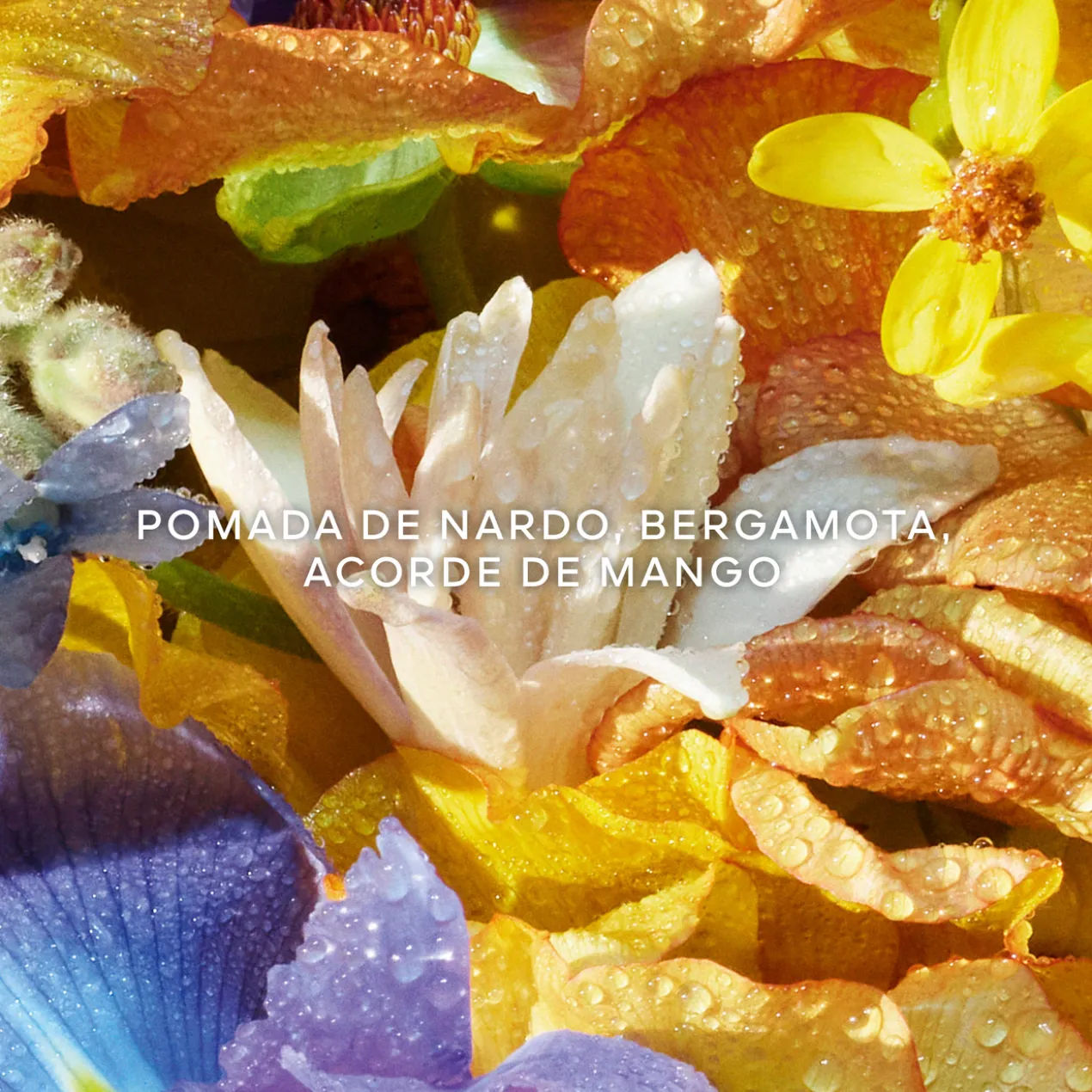 Aqua Allegoria Florabloom Creme de mãos