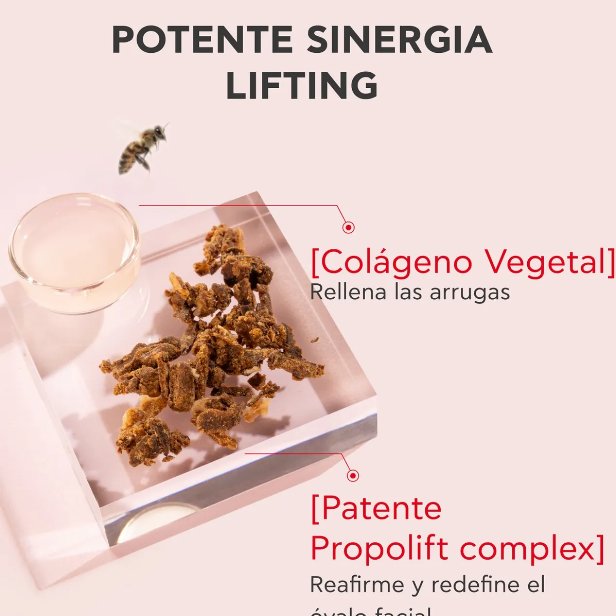 Beevine Elixir Sérum Lift Ativador de Firmeza
