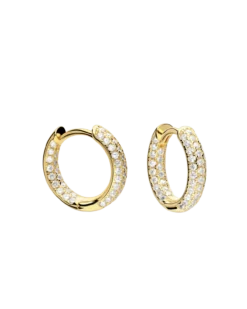 Brincos Argola Clavel