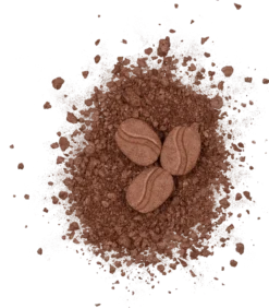 Bronzeador To Bean Or Not To Bean