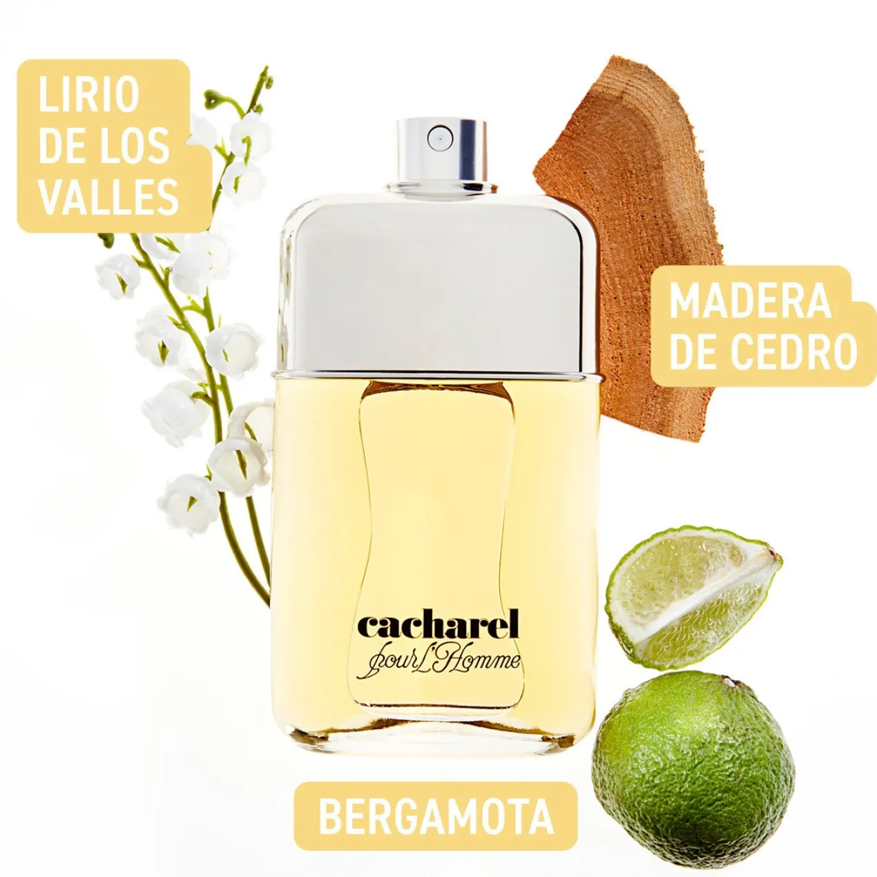 Cacharel Pour Homme Eau de Toilette