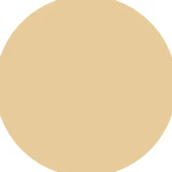 CC Skin Perfector