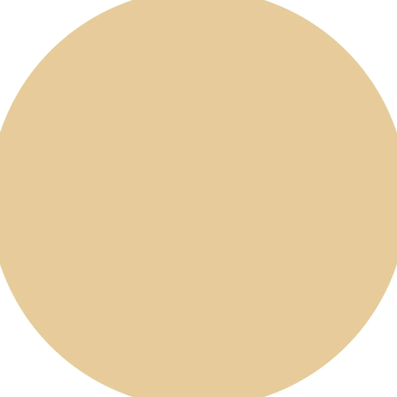 CC Skin Perfector