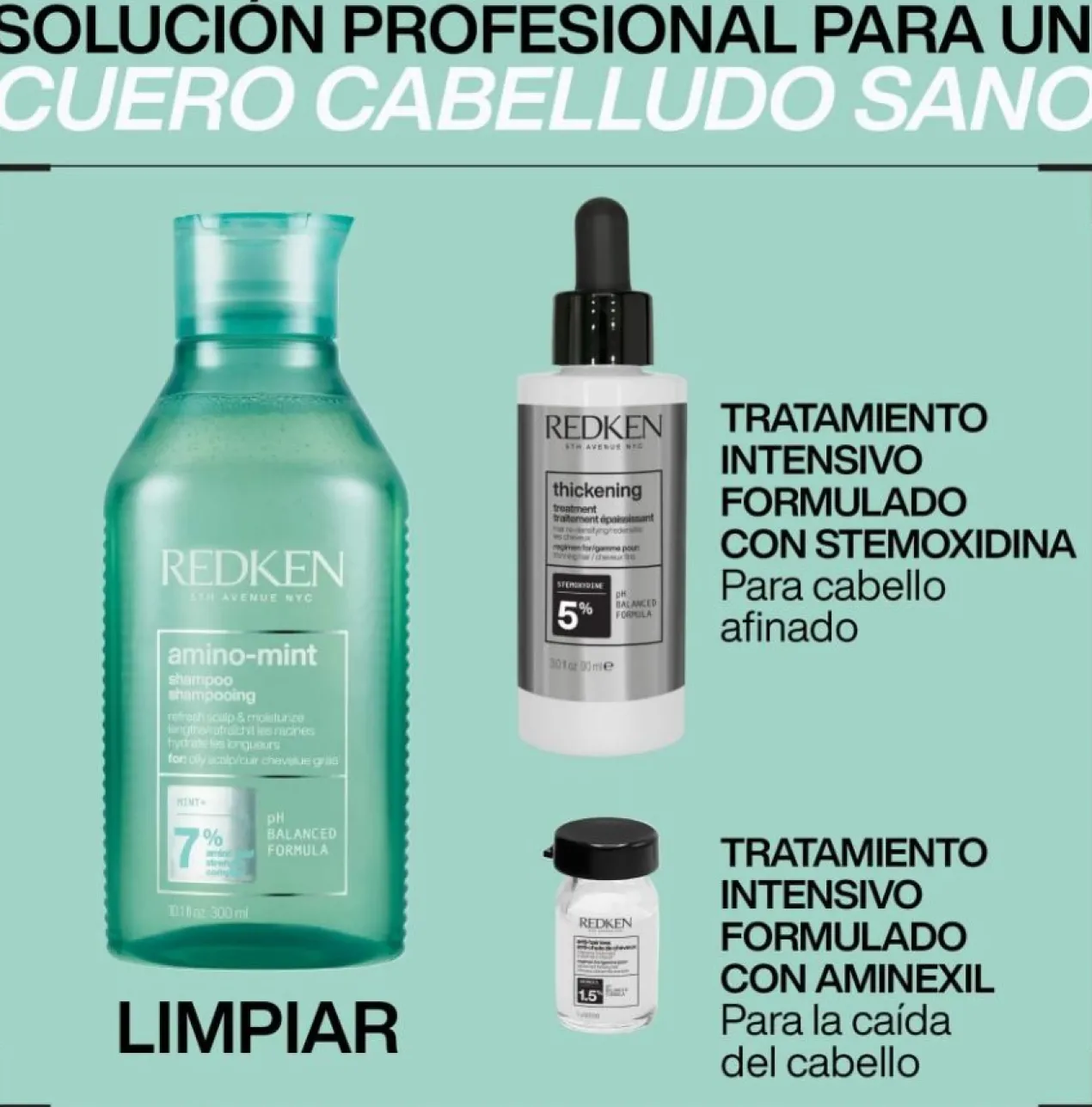 Champô Amino-Mint Cabelo Oleoso