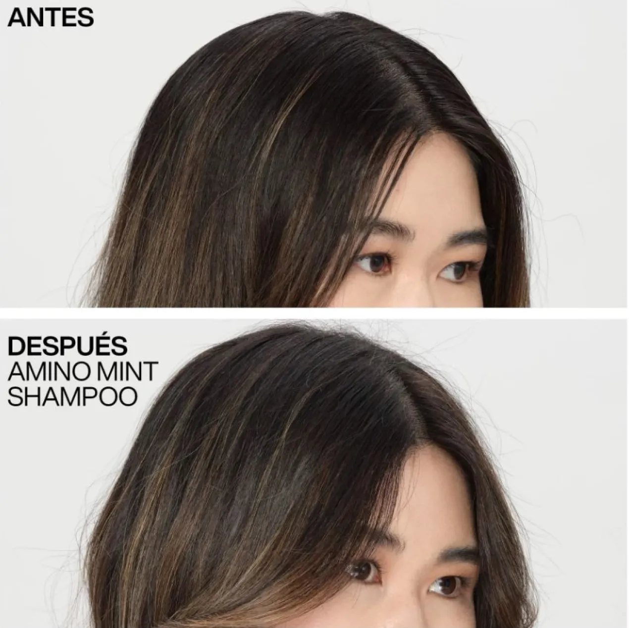 Champô Amino-Mint Cabelo Oleoso