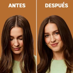 Champô a Seco com Cor para Castanhos