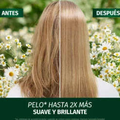Champô Brilho e Revitalização com Camomila