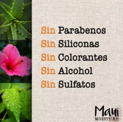 Champô Hidratante com Água de Hibisco