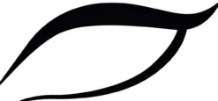 Charbon Eyeliner