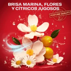 Coffret Cofre do Tesouro