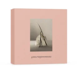 Coffret Água Fresca Terracota Musk Eau de Parfum