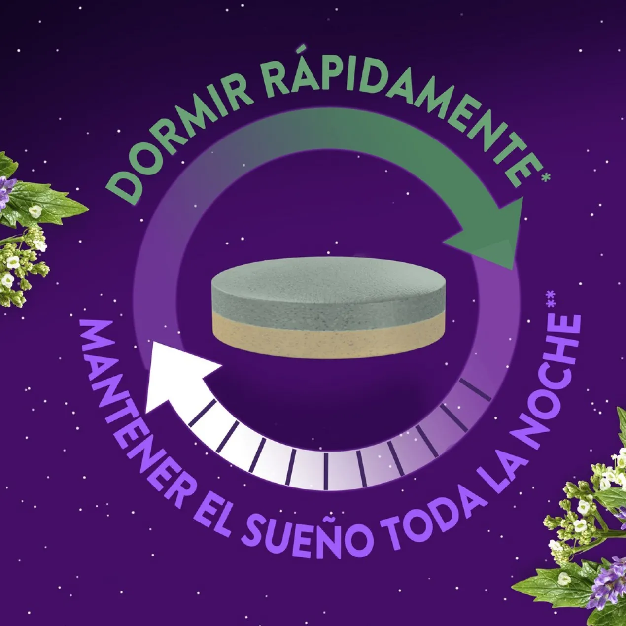 Comprimidos Sono Noite Inteira