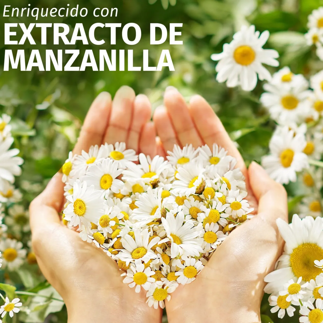 Condicionador Brilho & Revitalização com Camomila