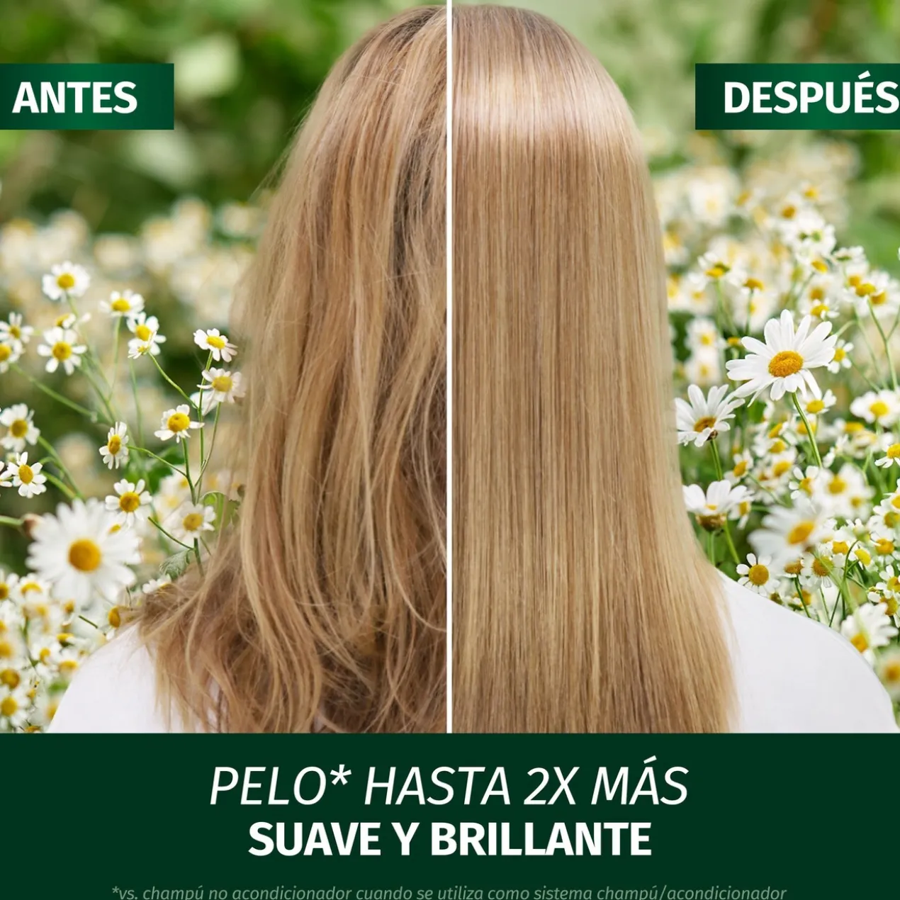 Condicionador Brilho & Revitalização com Camomila