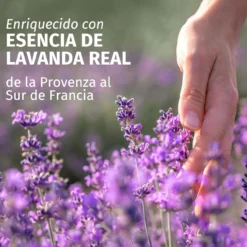 Condicionador Frizz Control com Aroma Lavanda