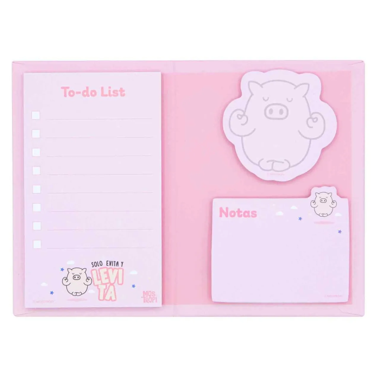 Conjunto de Notas Adesivas
