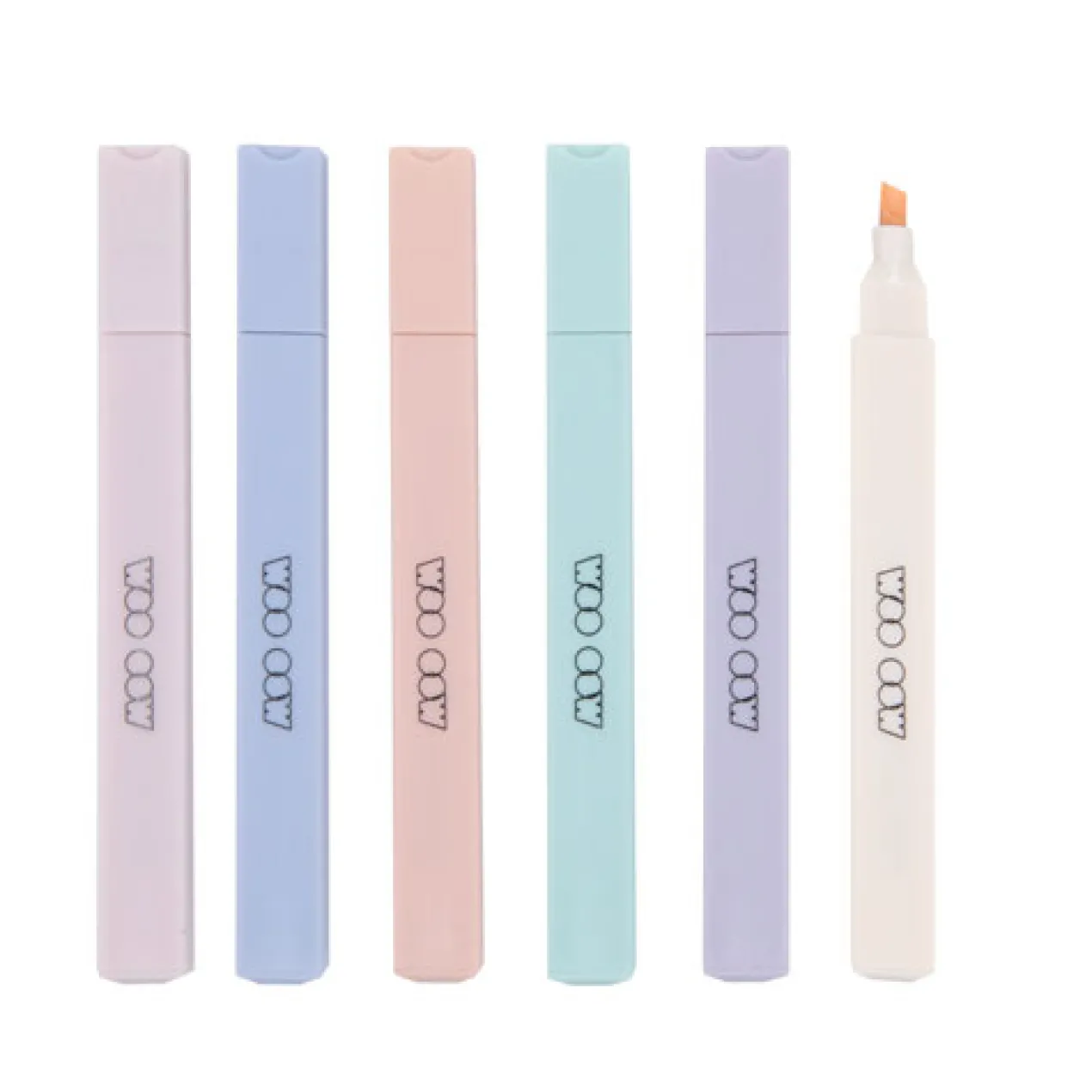 Conjunto Muted Pastel 6 Marcadores Grossos