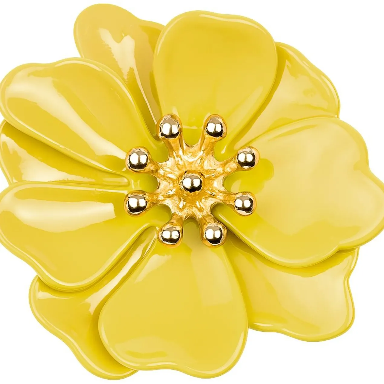 Conjunto Myclaw Hothouse Florals