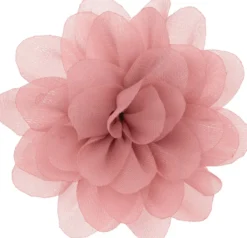 Conjunto Myclaw Hothouse Florals