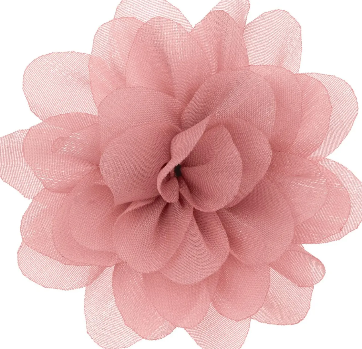 Conjunto Myclaw Hothouse Florals