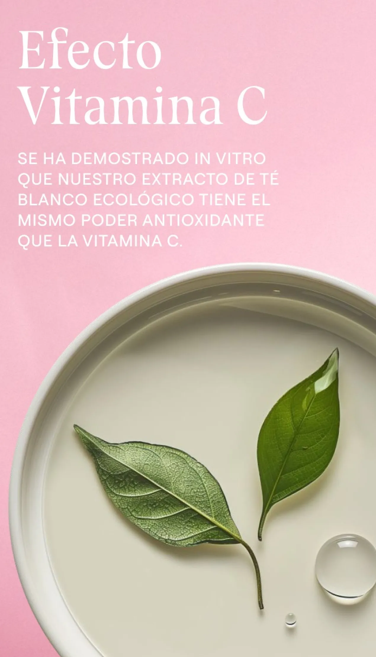 Creme de Dia Alisador de Rosa Mosqueta e Chá Branco