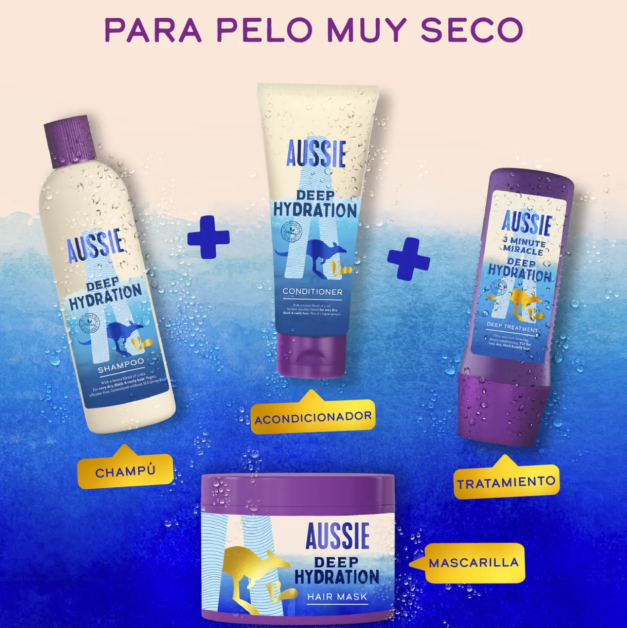 Deep Hydration Champô