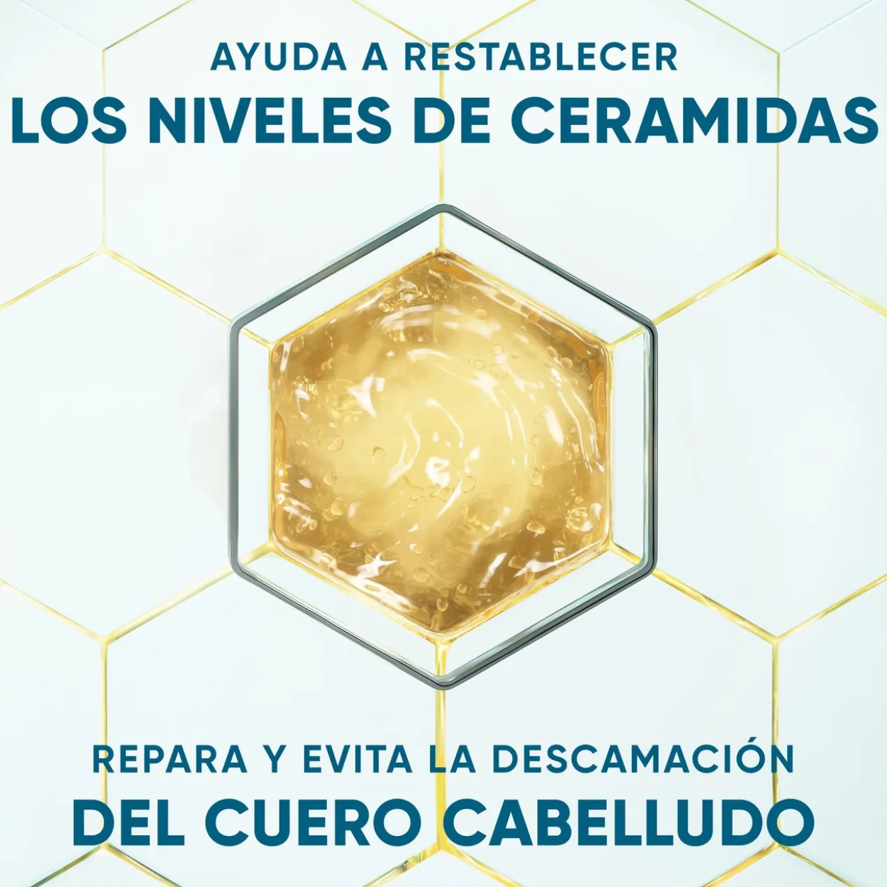 Dermaxpro Champô Calmante