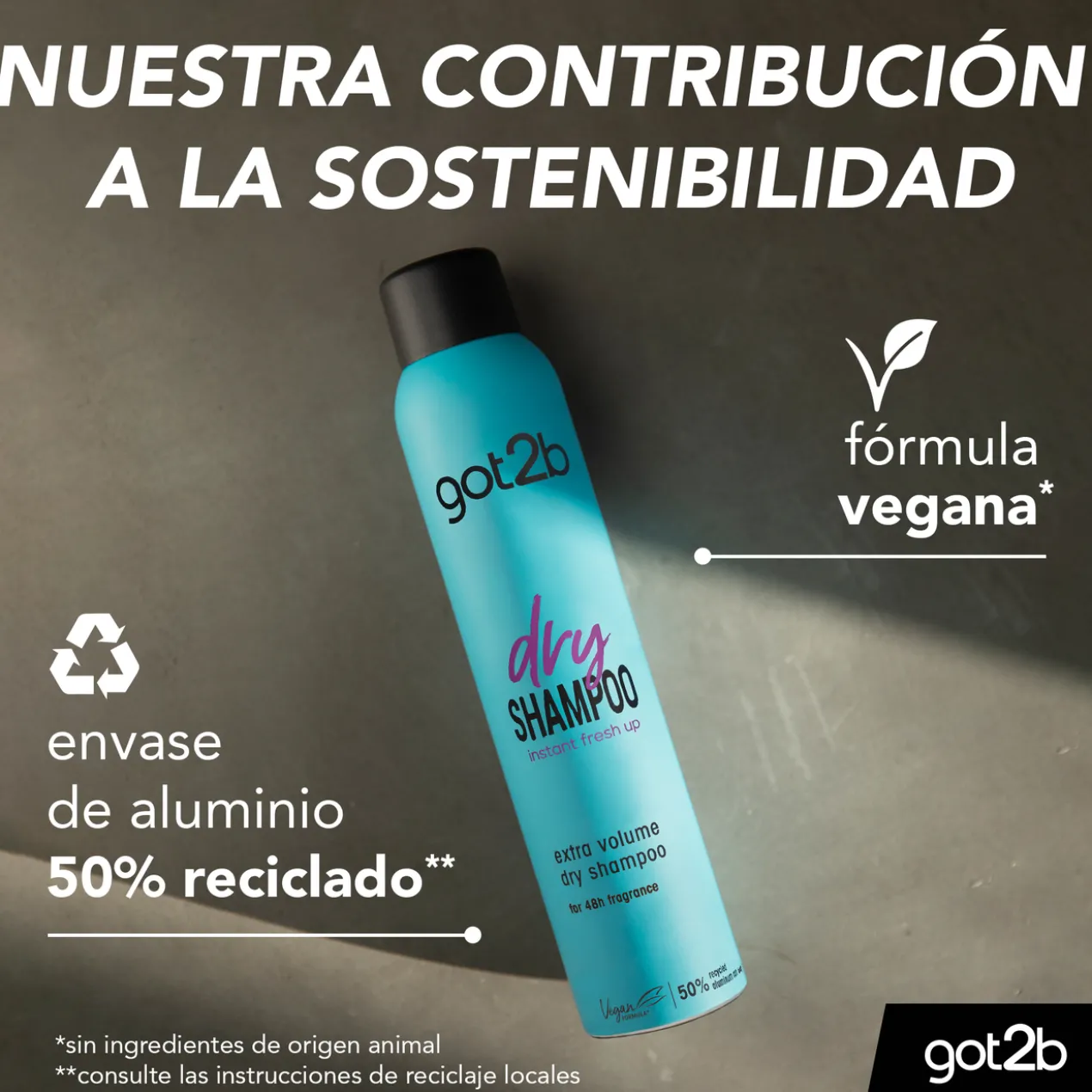 Dry Shampoo Extra Volume Champô Seco
