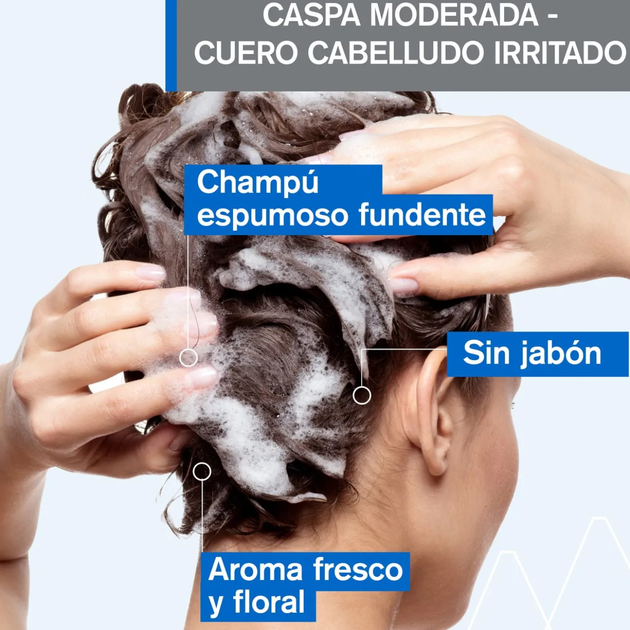 DS Hair Champô Anticaspa