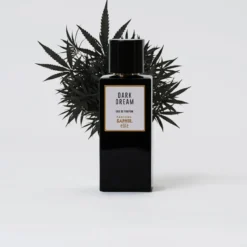 Elite Man Dark Dream Eau de Parfum