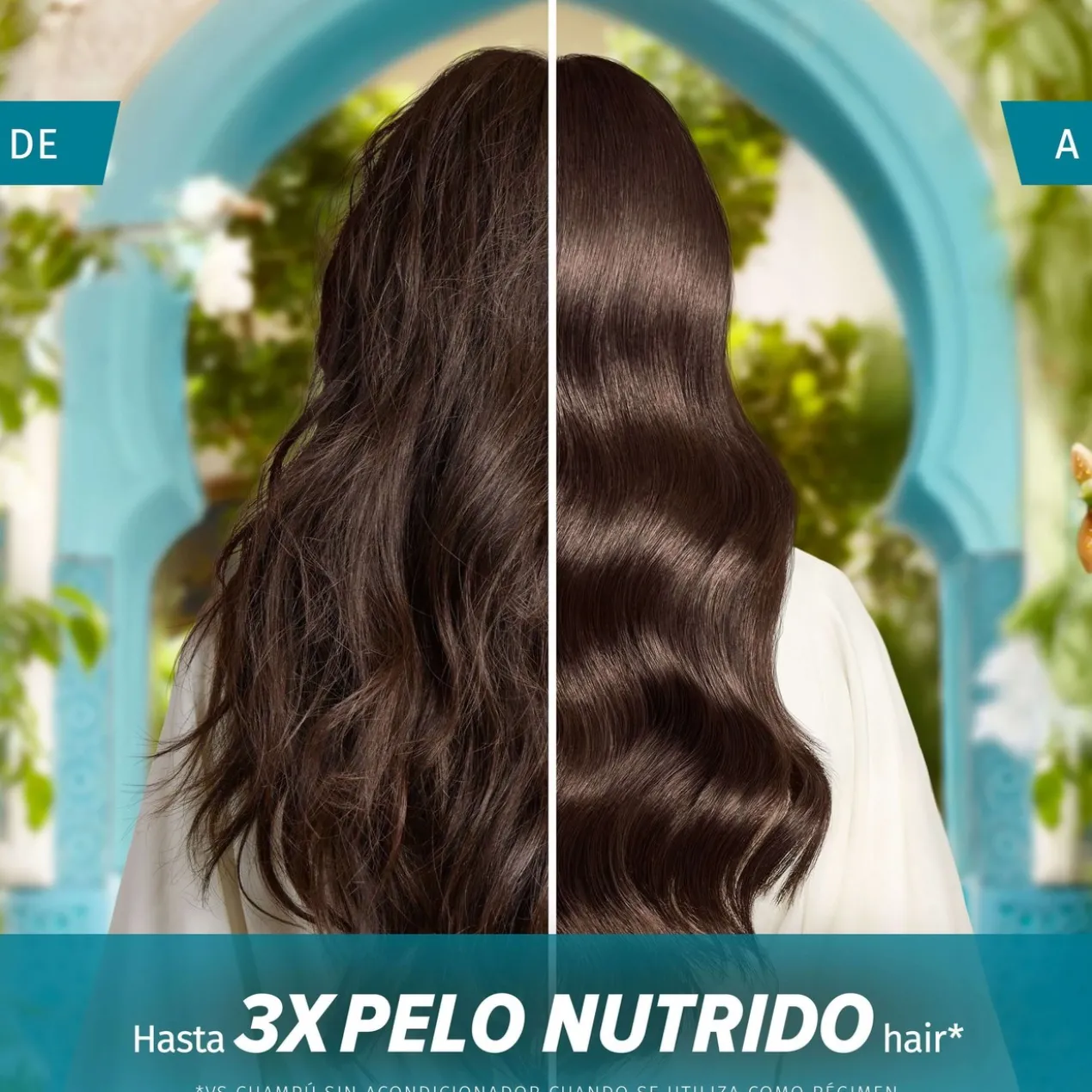 Elixir Reparador Profundo com Óleo de Argão de Marrocos
