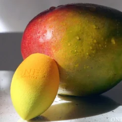 Esponja de Maquilhagem com Pó Natural de Manga