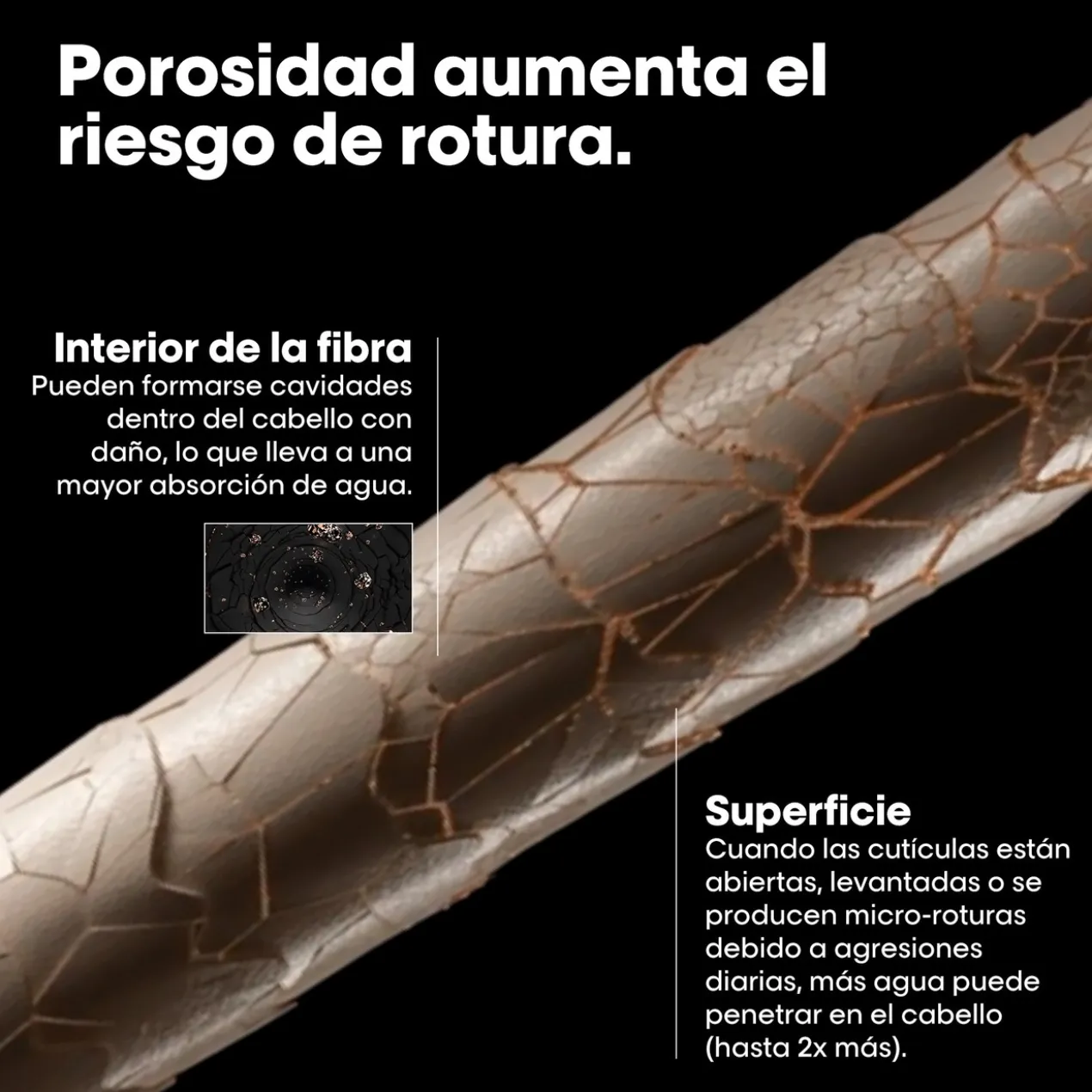 Expert Metal Detox Tratamento Pré-shampoo