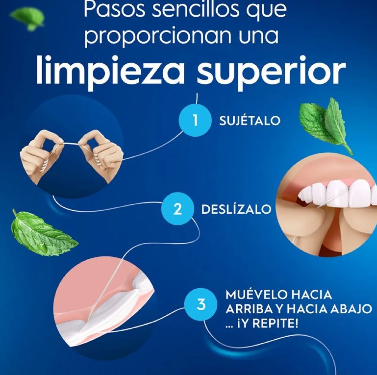 Fio Dental Essential
