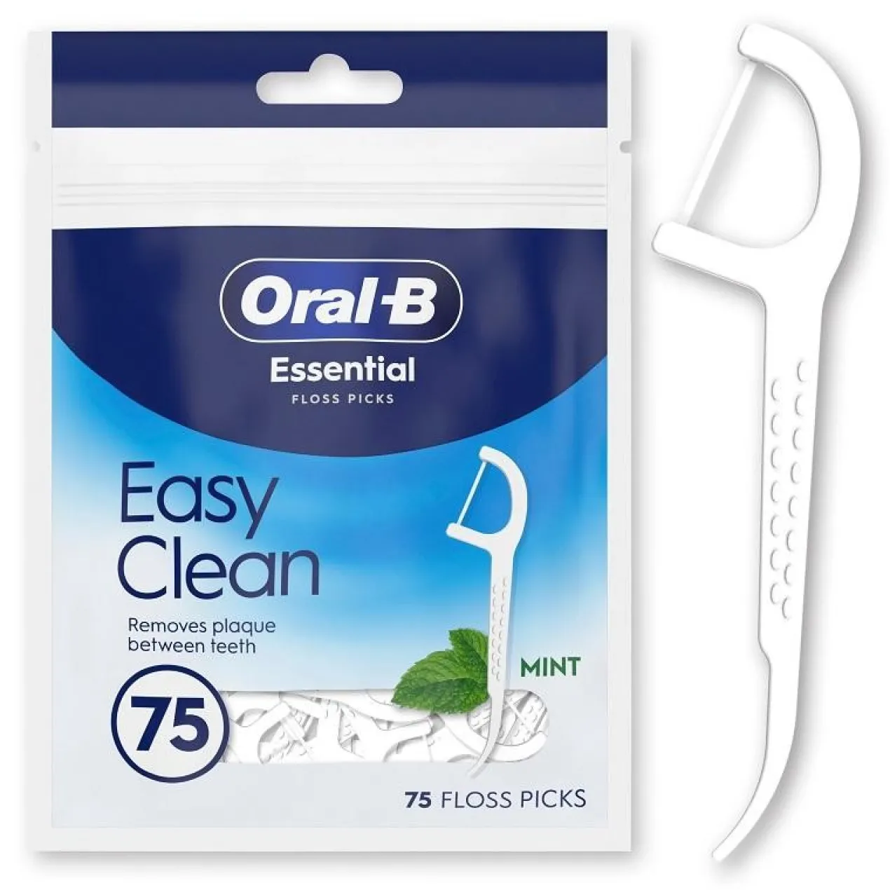 Floss Pick Dental Essential