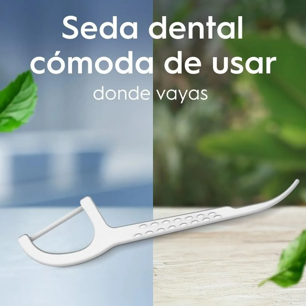 Floss Pick Dental Essential