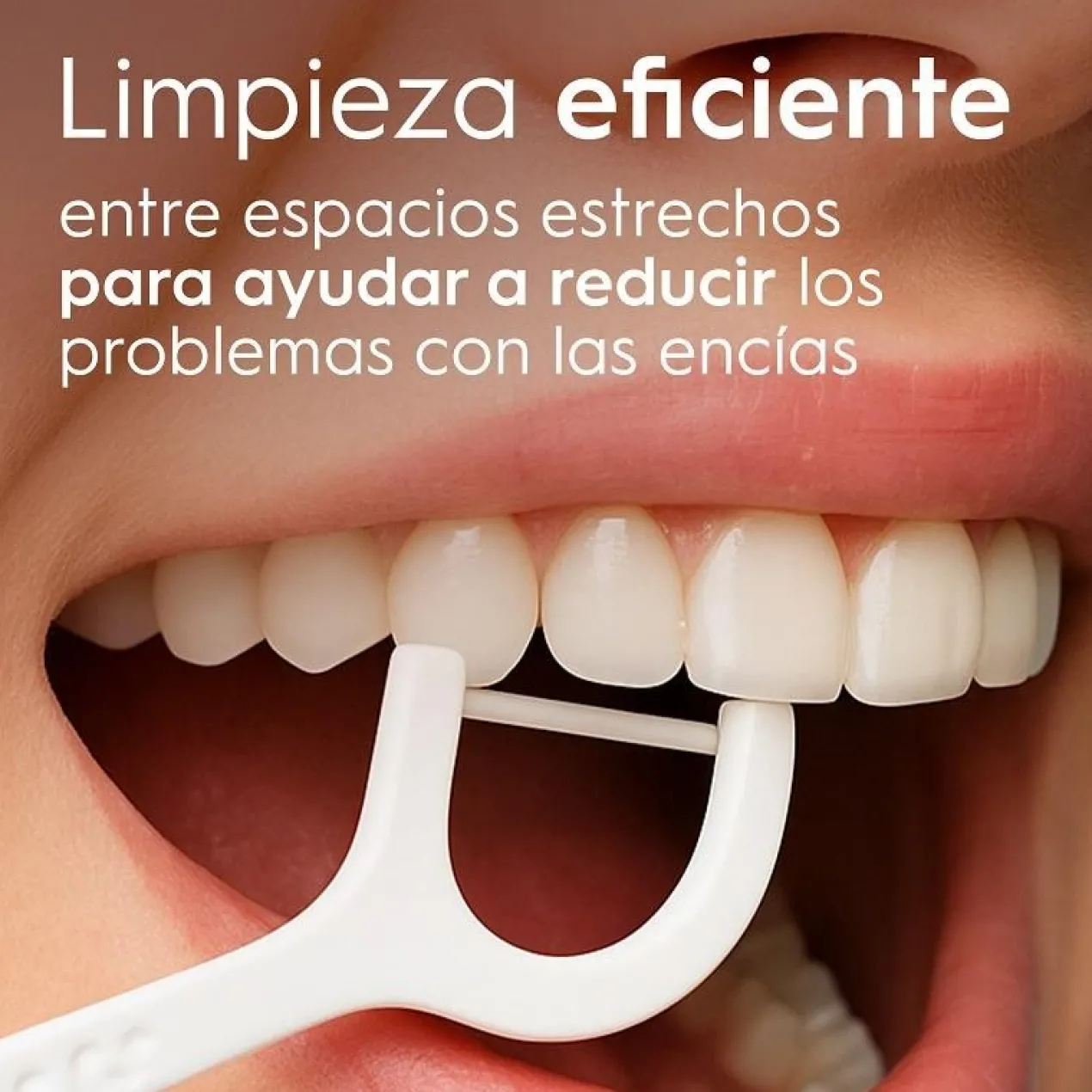 Floss Pick Dental Essential