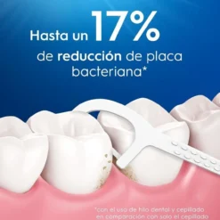 Floss Pick Dental Essential