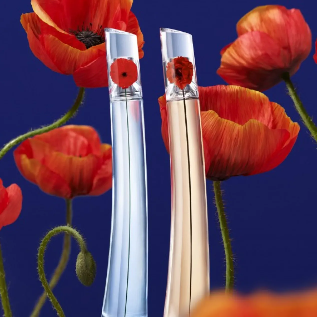 Flower By Kenzo L'Absolu Eau de Parfum Estojo