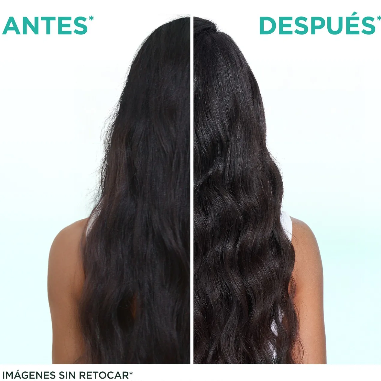Fructis Hair Food Aloe Vera Champô Hidratante