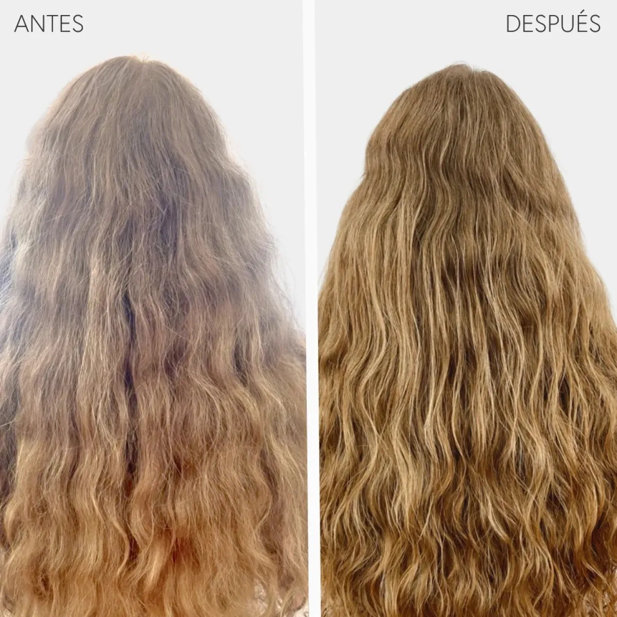 Gel Surfing Curls & Wave