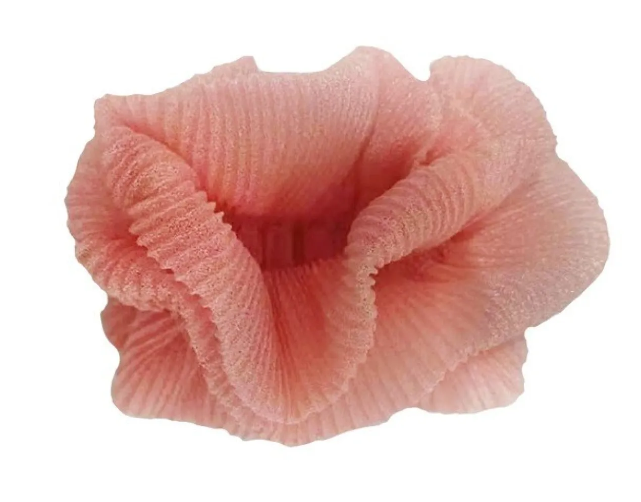 Joy & Love Scrunchie de tecido