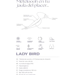 Lady Bird Sugador