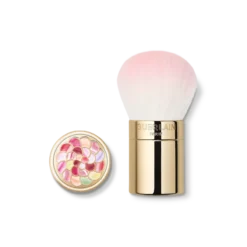 Météorites Brush Pincel